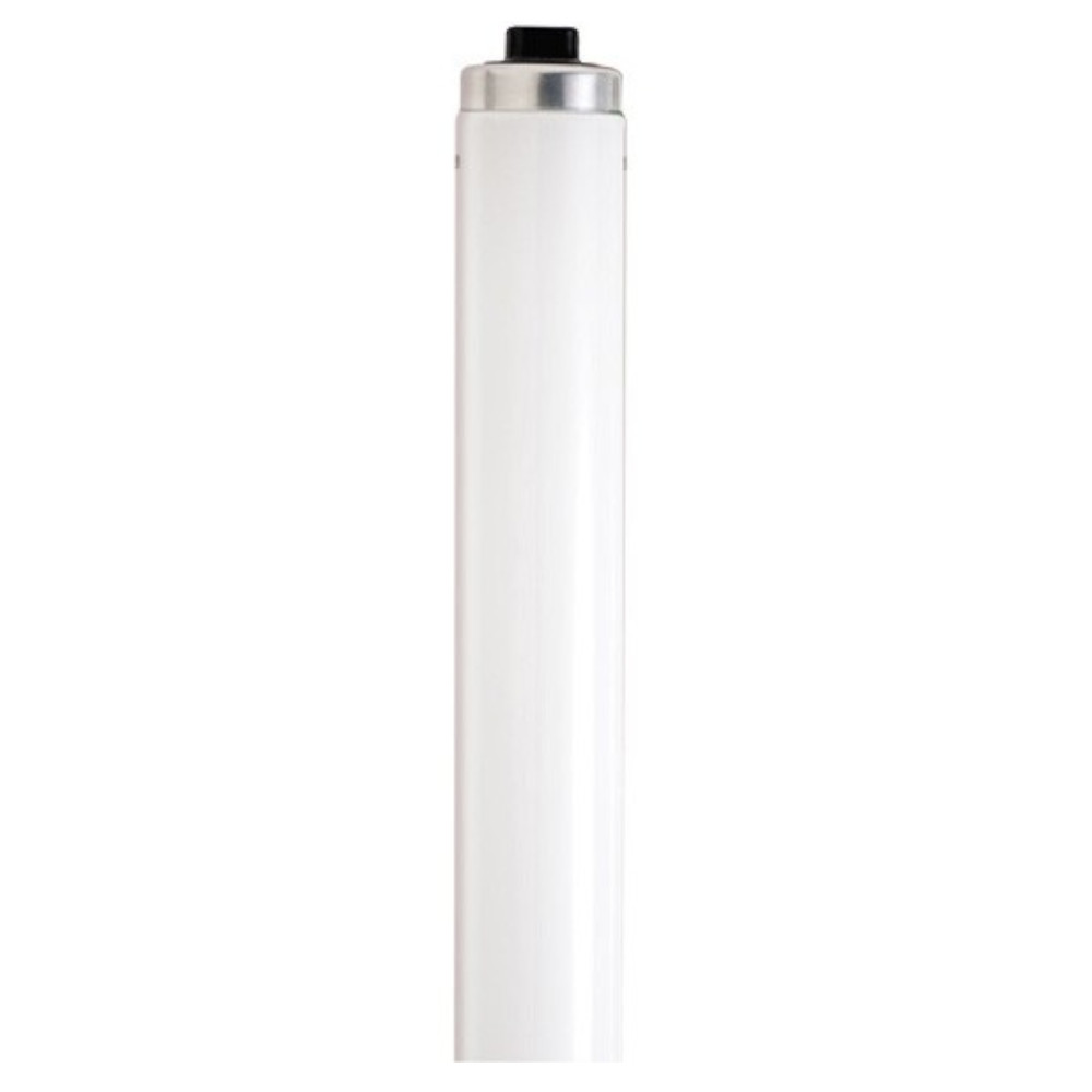 Satco  SAT F60T12/CW/HO