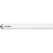Ledvance  LEDV F96T12CWHOCOLDTEMP